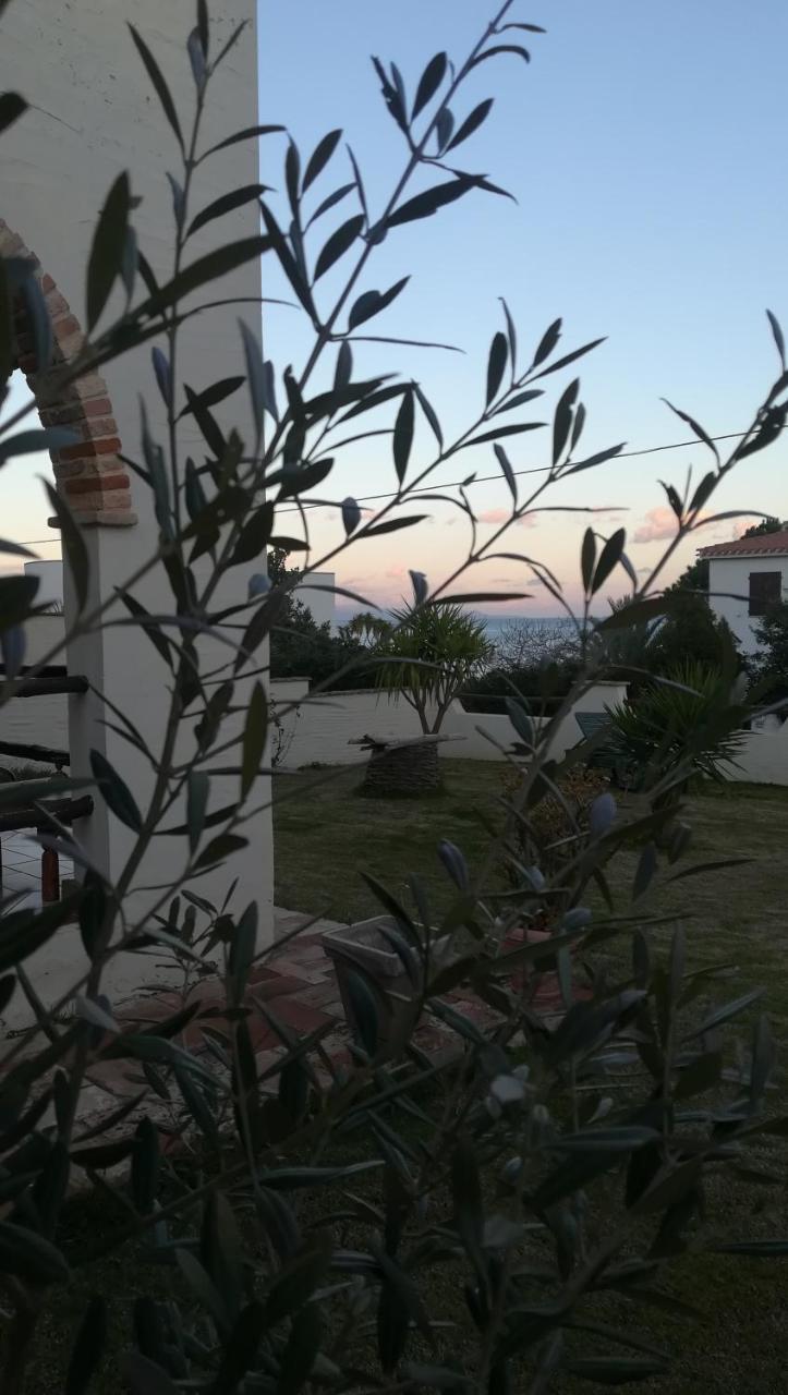 Villa Dolly Porto Columbu - Perd'E Sali エクステリア 写真
